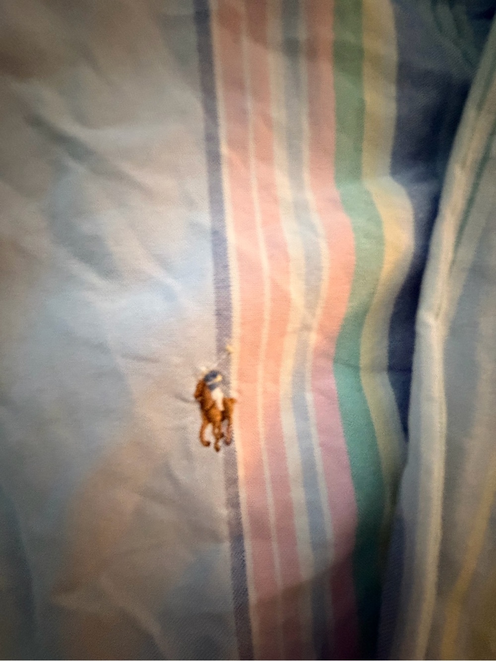 Ralph Lauren Blue and Yellow Striped Cotton Button-Down - Picture 3 of 3